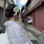 りんごのプロフィール画像