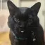 comのプロフィール画像
