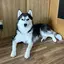 あかりのプロフィール画像
