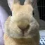 airiのプロフィール画像