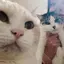 わかのプロフィール画像