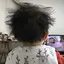 iccoのプロフィール画像