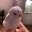 ふつのプロフィール画像