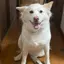 はるかのプロフィール画像