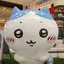 トミコ3のプロフィール画像
