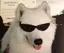 ゆりんごのプロフィール画像