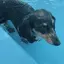 Ayumiのプロフィール画像