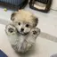 みきのプロフィール画像