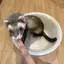 miwaのプロフィール画像