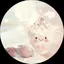 nananaのプロフィール画像
