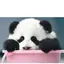 優華のプロフィール画像