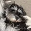 Nappiのプロフィール画像