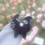 ほこり。のプロフィール画像