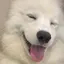 若葉のプロフィール画像