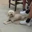 mnのプロフィール画像