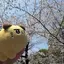 花園のプロフィール画像