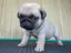 ごっちのプロフィール画像