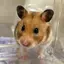 なるのプロフィール画像