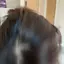 平成1桁貴腐神のプロフィール画像