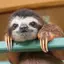 akiのプロフィール画像