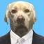ミのプロフィール画像