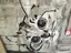 鏡のプロフィール画像