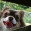 りほのプロフィール画像