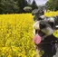 ささのプロフィール画像
