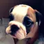 しものかわのプロフィール画像