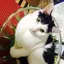 まさのプロフィール画像