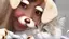 mami・:*のプロフィール画像
