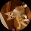 はるなのプロフィール画像