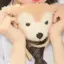 🐶のプロフィール画像