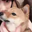おまゆのプロフィール画像