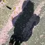 かれんのプロフィール画像