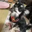 Sのプロフィール画像