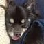 あさのプロフィール画像