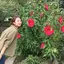 咲葉のプロフィール画像