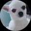 マジェネネのプロフィール画像