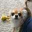もーのプロフィール画像