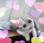 むむのプロフィール画像