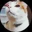 ぱるるんのプロフィール画像