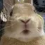 まるたんのプロフィール画像
