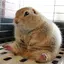 かなこのプロフィール画像