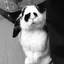 rut okiのプロフィール画像