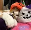 723のプロフィール画像