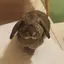 いさのプロフィール画像