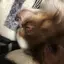 みずきのプロフィール画像