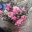 ひかるのプロフィール画像