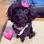 もえのプロフィール画像